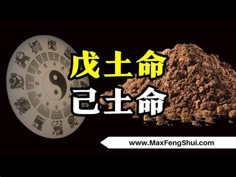 2023戊己土之日是什麼時候|八字戊己土什麼時候得勢得地？看什麼時候是旺衰喜忌論命運